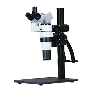 Stereo Microscope